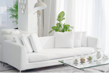 Dune Sofas have simplistic design and aesthetically pleasing look