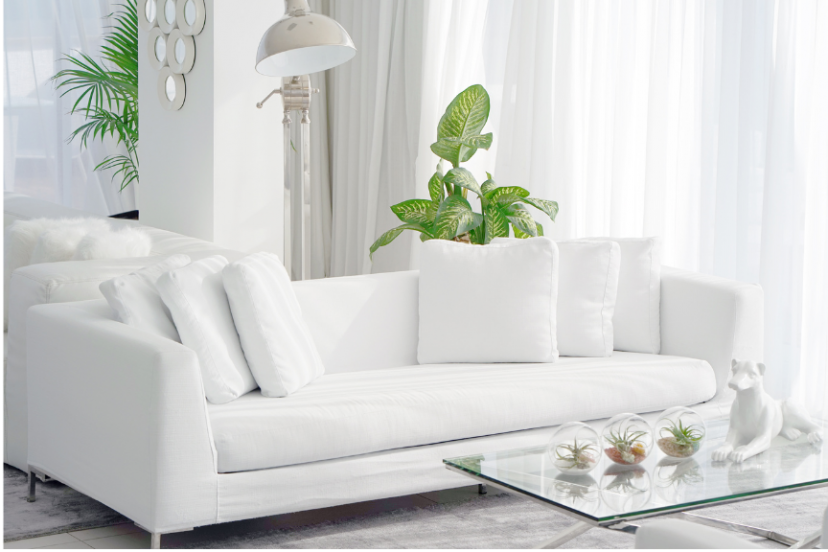 Dune Sofas have simplistic design and aesthetically pleasing look